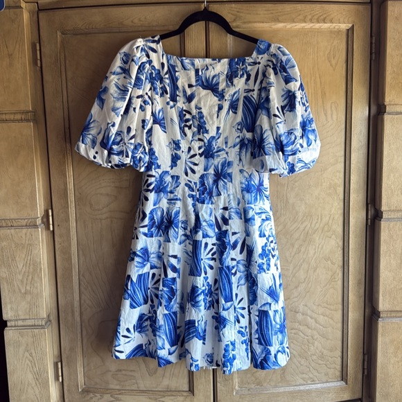 Caroline Constas 🔥 ☀️ Floral Blue and White line mini dress A line. - Picture 10 of 13